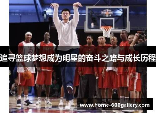 追寻篮球梦想成为明星的奋斗之路与成长历程