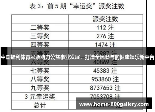 中国福利体育彩票助力公益事业发展，打造全民参与的健康娱乐新平台