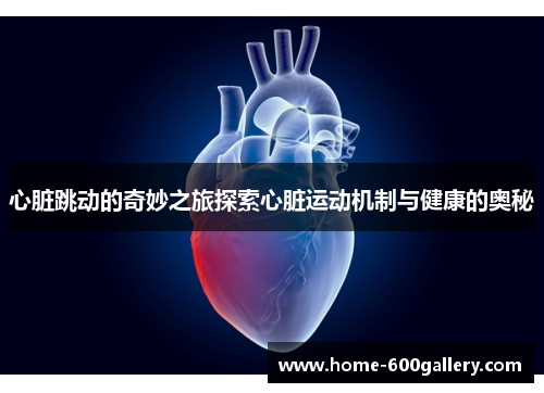 心脏跳动的奇妙之旅探索心脏运动机制与健康的奥秘