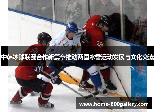 中韩冰球联赛合作新篇章推动两国冰雪运动发展与文化交流