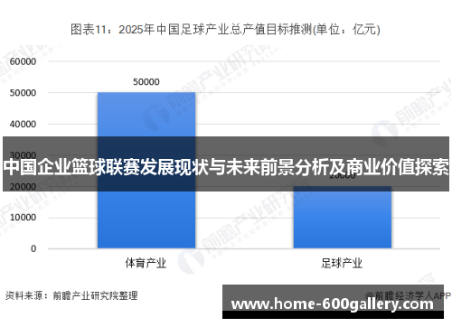 中国企业篮球联赛发展现状与未来前景分析及商业价值探索