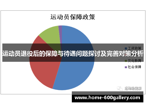 运动员退役后的保障与待遇问题探讨及完善对策分析